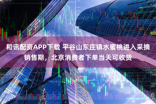 和讯配资APP下载 平谷山东庄镇水蜜桃进入采摘销售期，北京消费者下单当天可收货