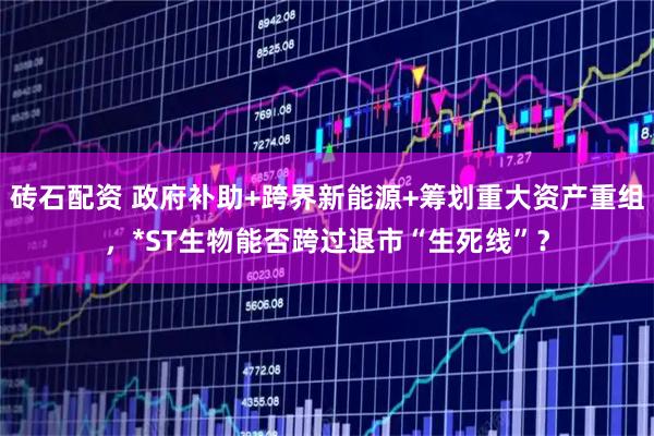 砖石配资 政府补助+跨界新能源+筹划重大资产重组，*ST生物能否跨过退市“生死线”？